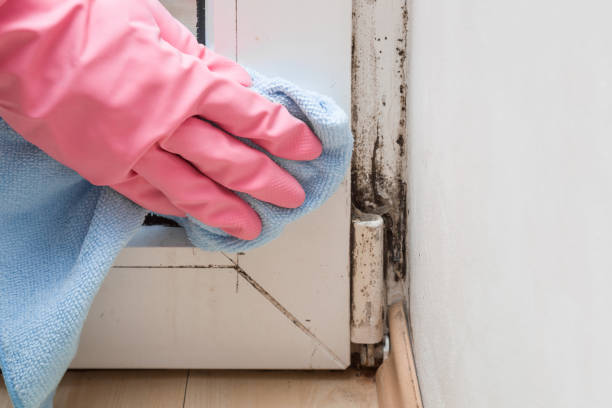 Crawl Space Mold Removal in Keeler Farm, NM